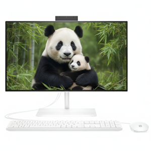 Ordinateur PC All In One HP 24 CB1025NH Core i5 - 512Go SSD 8GB Ram Ecran 24"